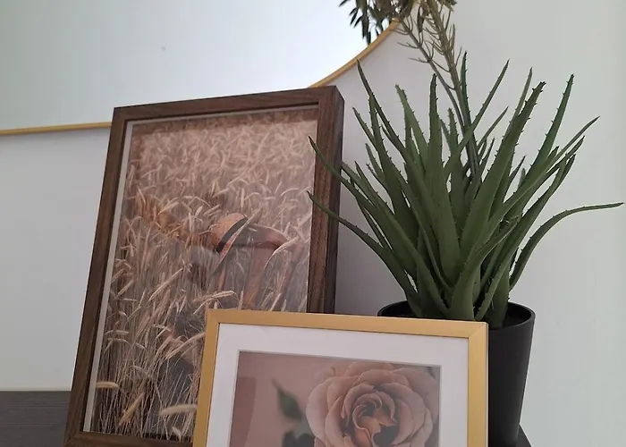 Tatil Evi Casa Maria - Vacation *